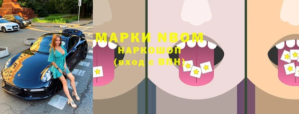 стафф Аркадак