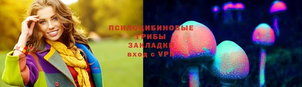 стафф Аркадак