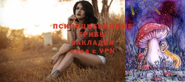 бошки Арсеньев