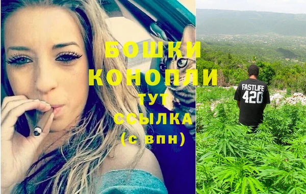 бошки Арсеньев