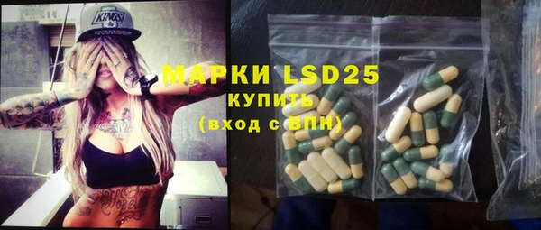 стафф Аркадак